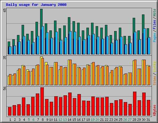 Daily usage for January 2008
