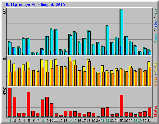 Daily usage for August 2010