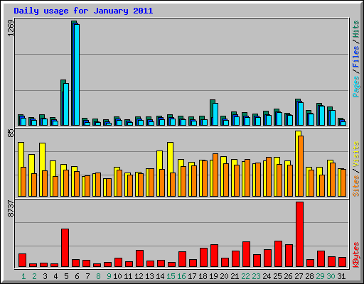 Daily usage for January 2011