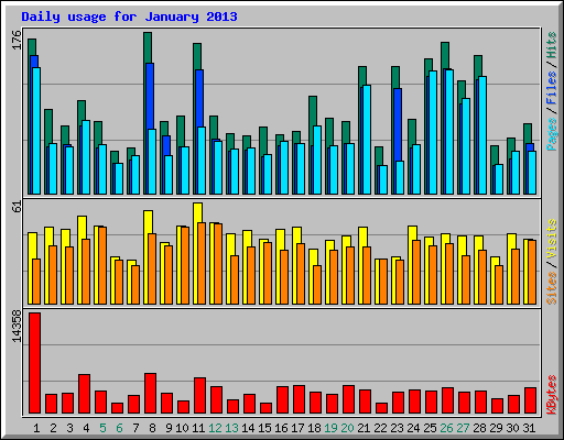 Daily usage for January 2013