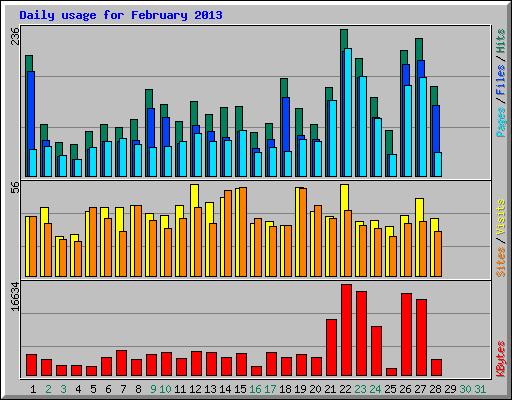 Daily usage for February 2013