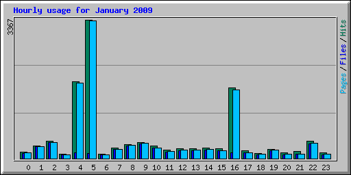 Hourly usage for January 2009