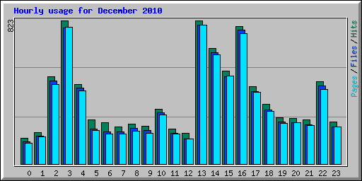 Hourly usage for December 2010