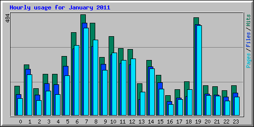 Hourly usage for January 2011