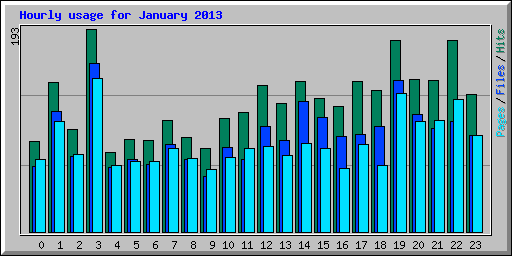 Hourly usage for January 2013