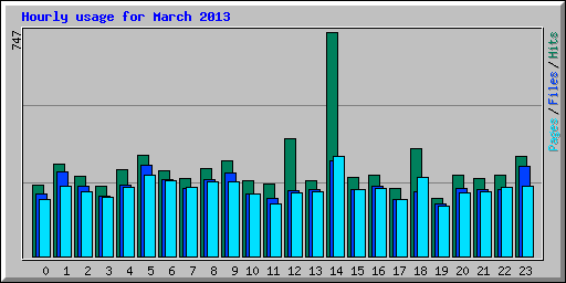 Hourly usage for March 2013