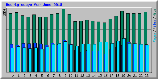 Hourly usage for June 2013