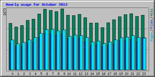 Hourly usage for October 2013
