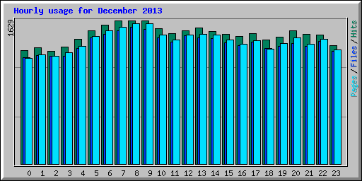 Hourly usage for December 2013